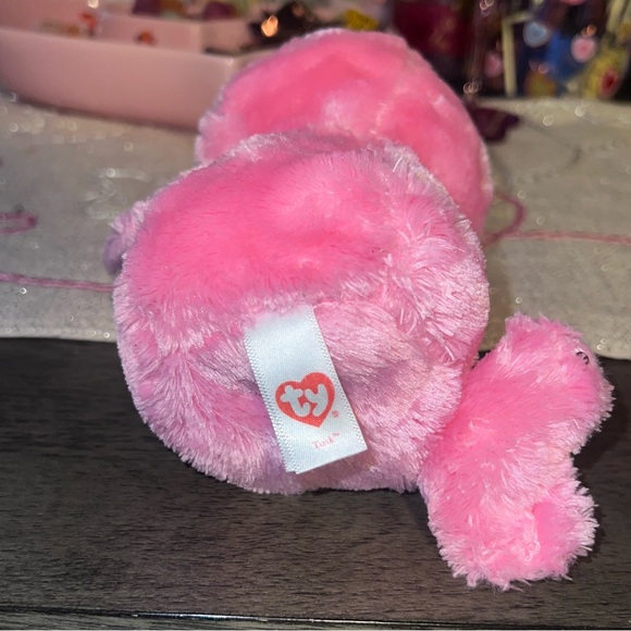 TY Beanie Boo Plush - Tusk the Walrus - Picture 3 of 3